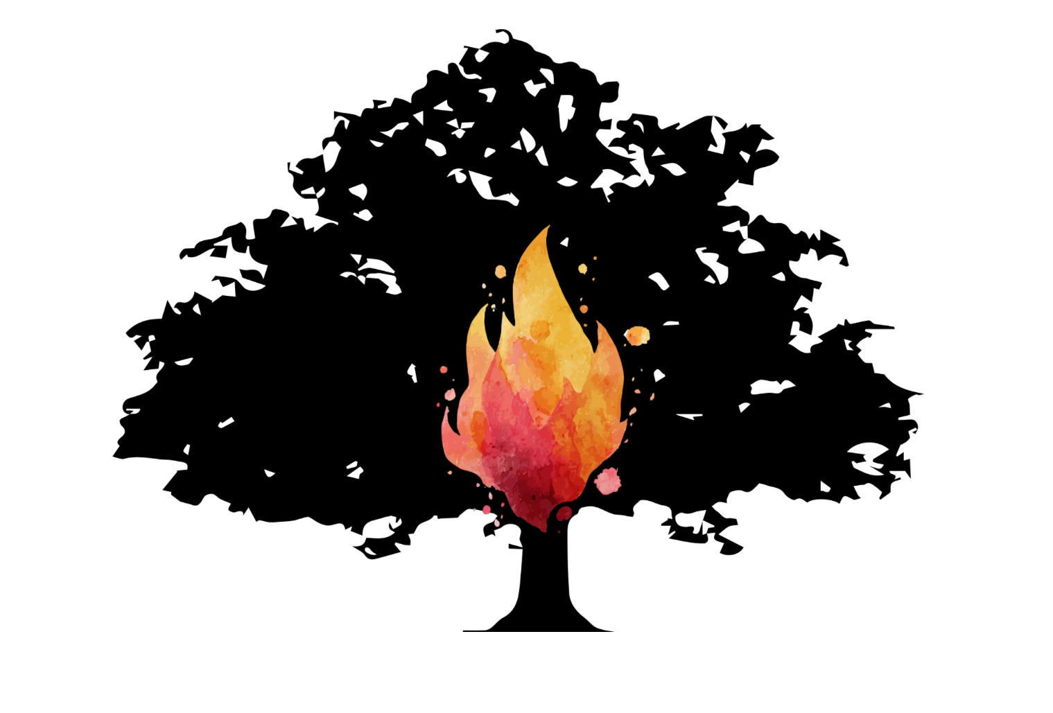 Ember & Oak
